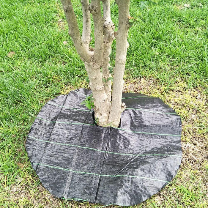 Telo professionale per pacciamatura anti alga/ erbacce in polipropilene  210cm x 40m  - 100gr/mq