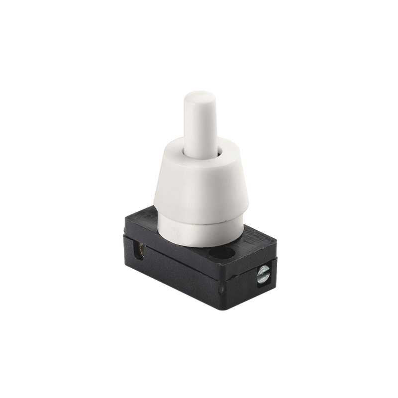 00750.L Interruttore a Pulsante 1P 2[32] A