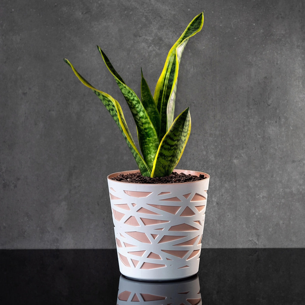 Vaso da fiori KADAX, coperchio in plastica, inserto, fiori, piante, 13 cm, color pesca
