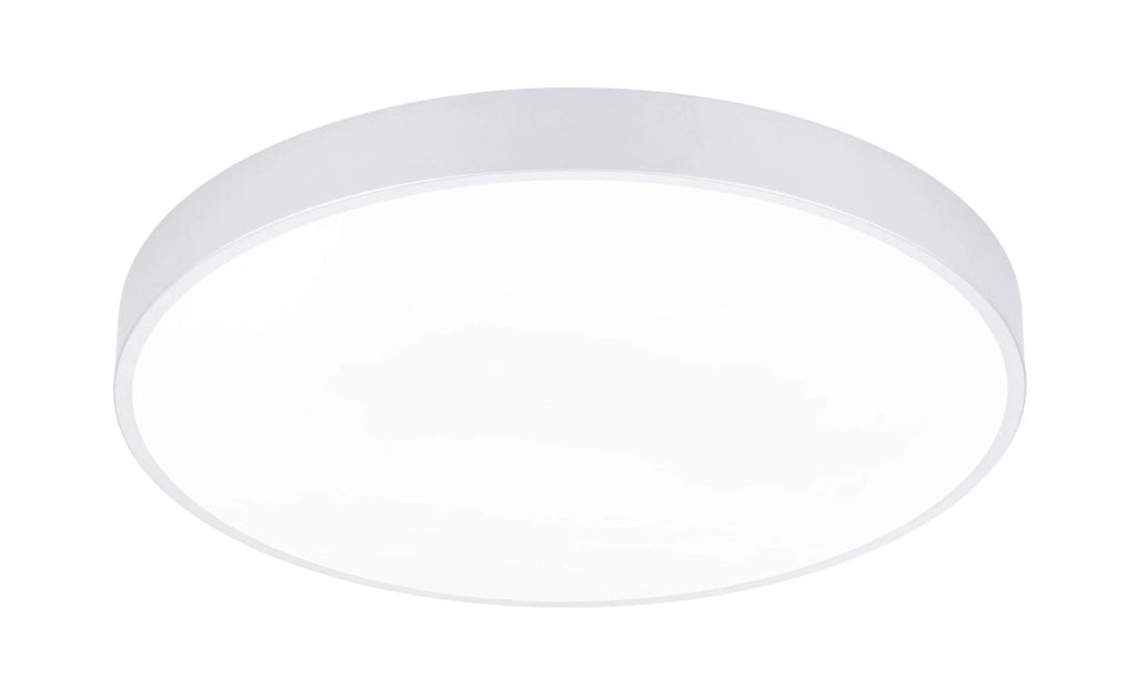 Plafoniera da Interno a LED in Metallo Bianco Opaco