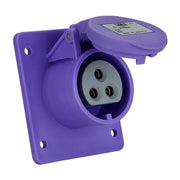 Presa quadro 16A 2P 24V IP44 Pce