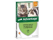 ANTIPARASSITARIO ADVANTAGE PER GATTI E CONIGLI FINO A KG.4  in conf. da 4 pipette SPOTON    ADVANTAGE