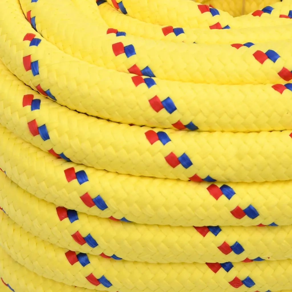 Corda per barca Gialla 20 mm 25 m in Polipropilene 152632