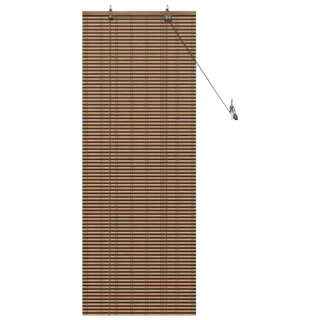 vidaXL Tende e Tapparelle per Finestre Marrone 60 x 160 cm Bambù