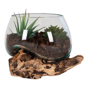 Terrario San, Marrone, Legno, 15x15x15 cm