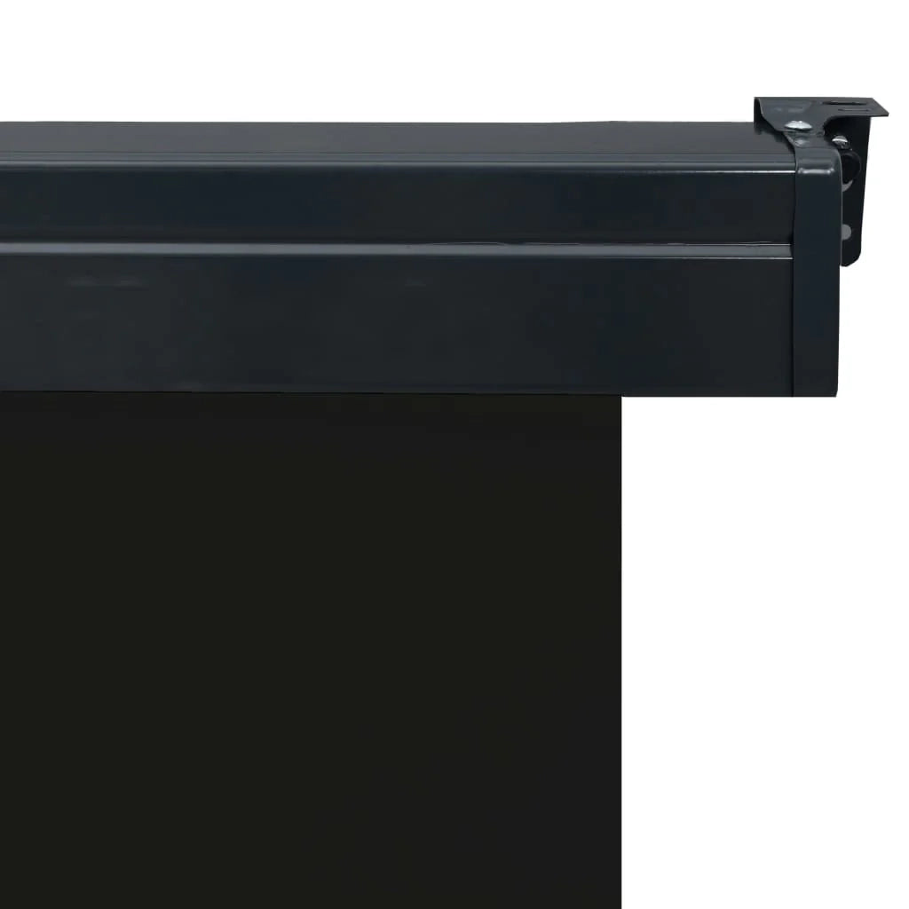 Tenda da sole laterale per balcone 100 x 250 cm nera 02_0007003