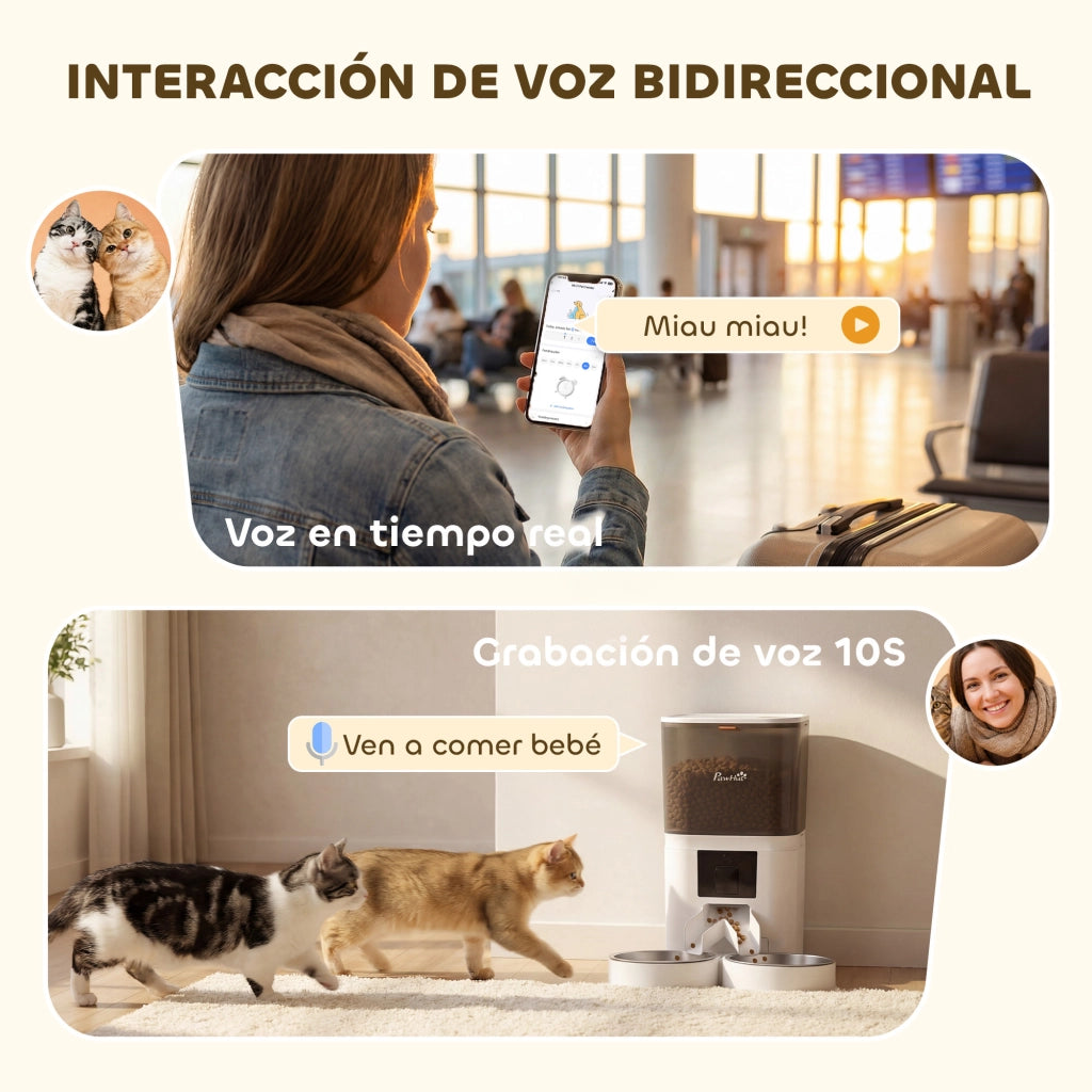 Dispenser Cibo Automatico 6L WiFi App ¨C zephmum ¨C 2 Ciotole Programmable 1-10 Pasti