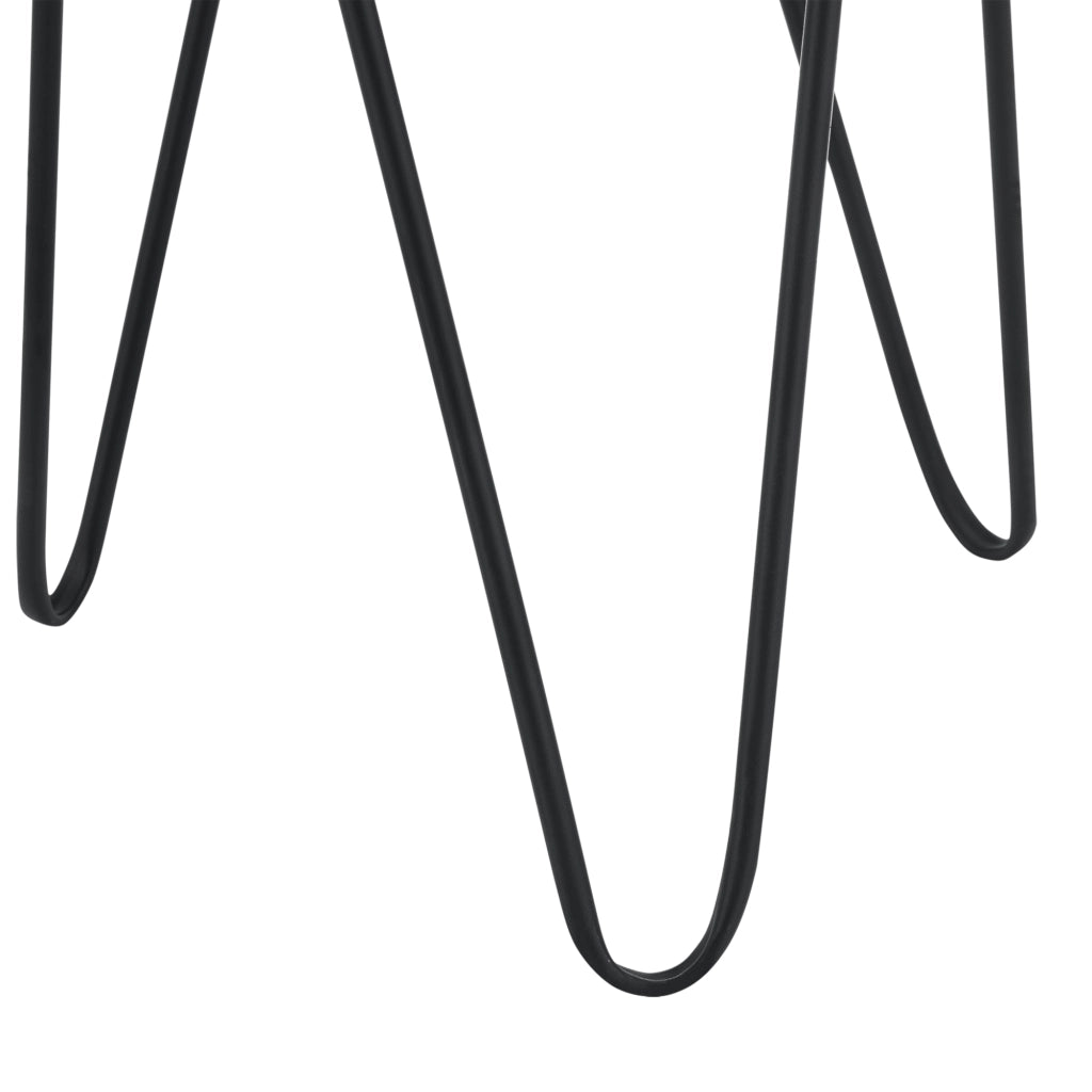 Set Hedera di 2 Supporti per Piante con Coprivaso in Metallo - Nero [en.casa]