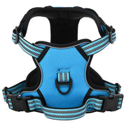 Pettorina per Cani con Guinzaglio e Collare Regolabile Blu L CFW9131012
