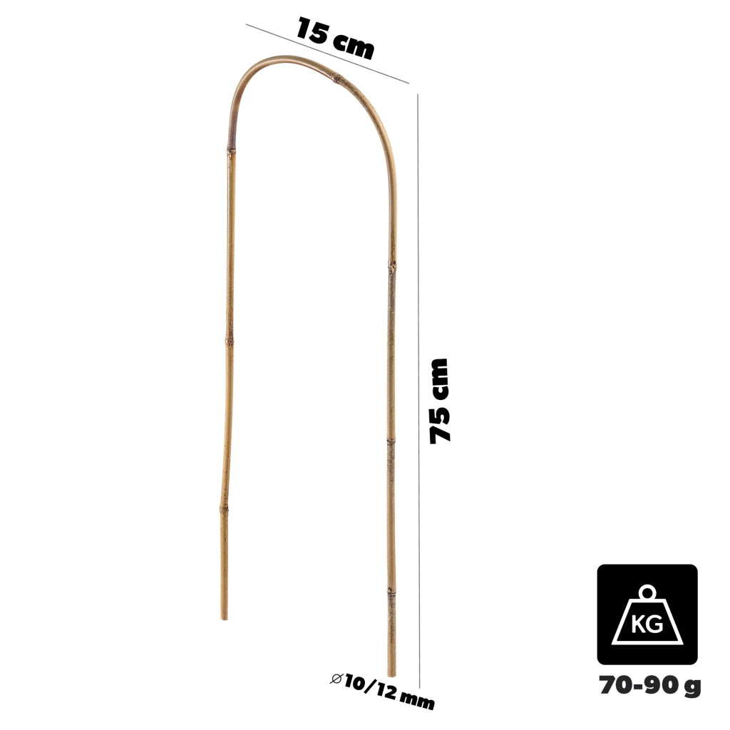 KADAX Bambusowa podpora łukowa 75cm x 10/12mm x 15