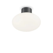 Plafoniera Moderna Clio Alluminio Antracite 1 Luce E27