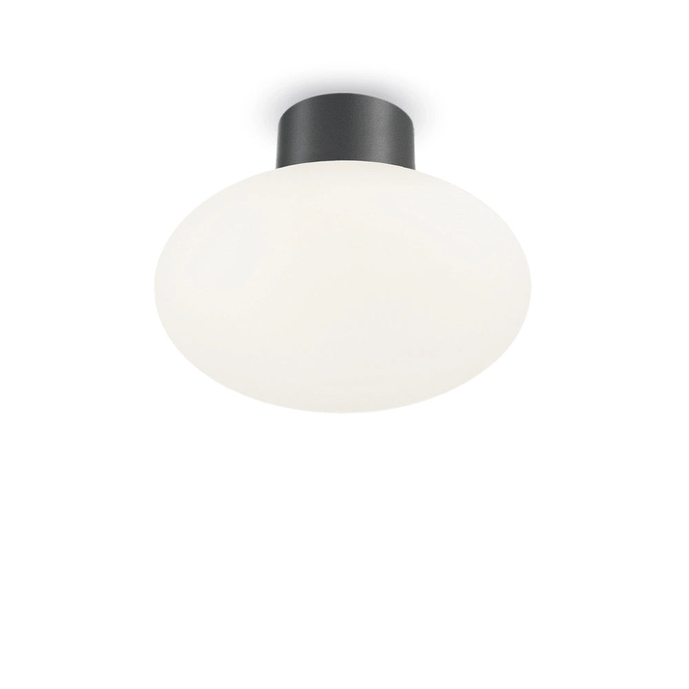 Plafoniera Moderna Clio Alluminio Antracite 1 Luce E27
