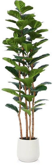 Ficus Fiddle Boom 180cm, Pianta Artificiale Grande, Pianta in Plastica con Vaso Bianco per Decorazione di Casa, Decorazione di Camera, Decorazione di Soggiorno (1 Pacchetto)