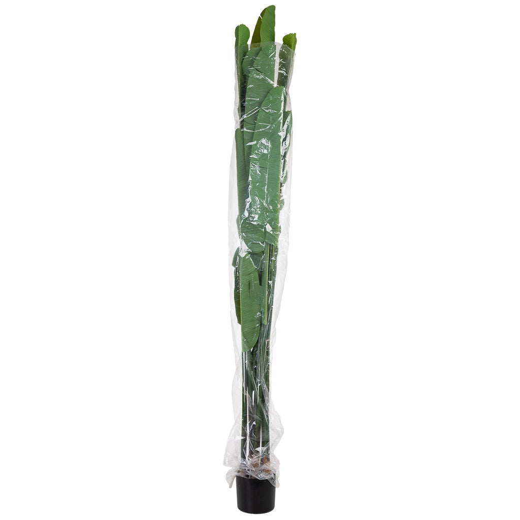Sterlitzia decorativa artificiale con 18 foglie verde 95x95x240