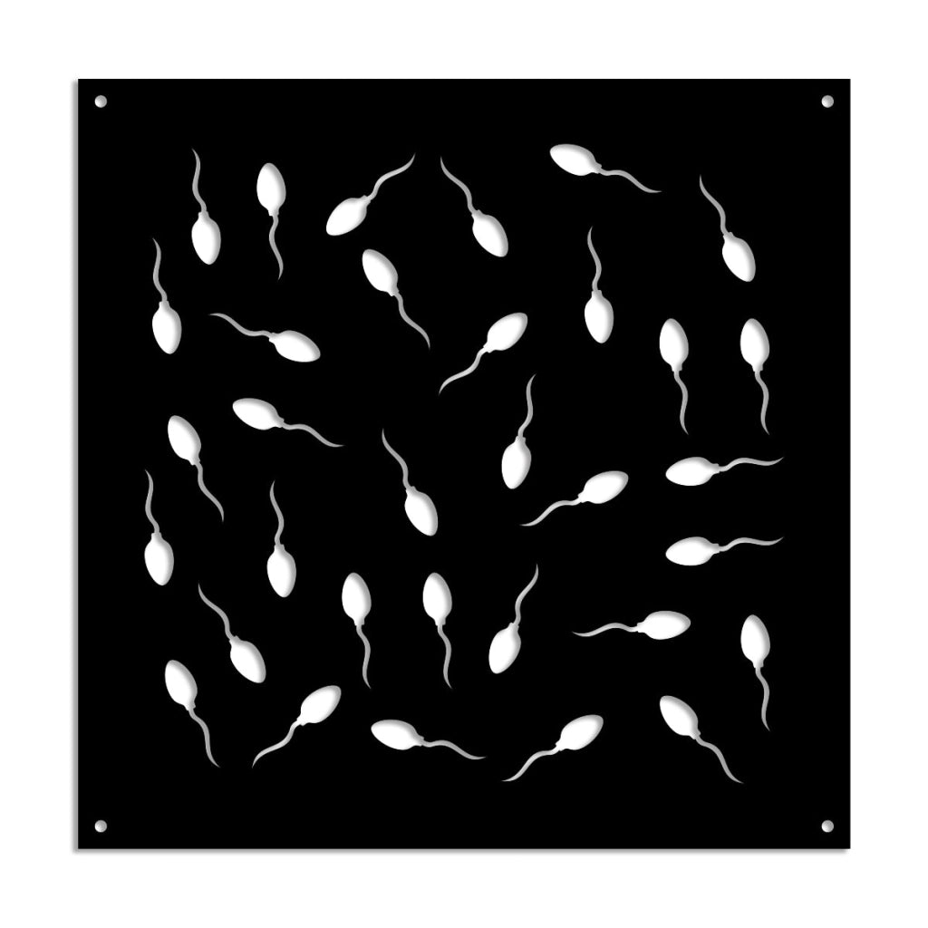 MAYBE LIFE - Pannello in PVC traforato - Parasole Misura: 48x48 cm, Colore: nero