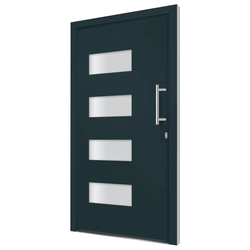 Porta d'Ingresso in Alluminio e PVC Antracite 100x200 cm cod mxl 56371