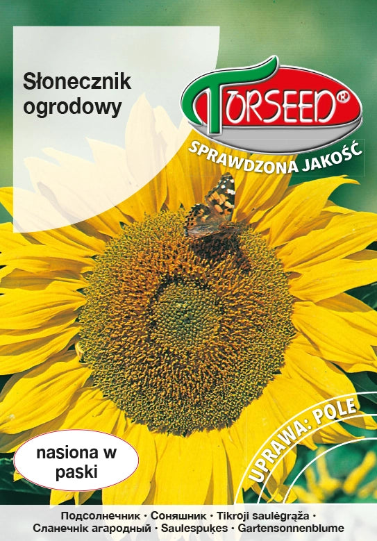 Girasole commestibile Girasole da giardino 10g