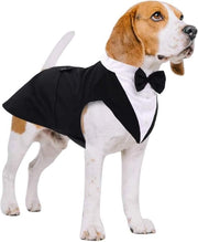 Set di Abbigliamento Tuxedo per Cani e Bandana, Abito Formale per Animali da Compagnia, Giacca per Cani con Cappuccio Removibile, Abito per Cani, Camicia per Cuccioli da Indossare per Matrimoni, Halloween, Feste di Compleanno, S-XXL