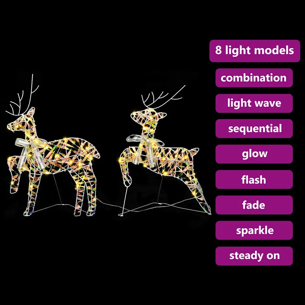 Renne LED con 40 LED 2 pcs Bianco caldo PET