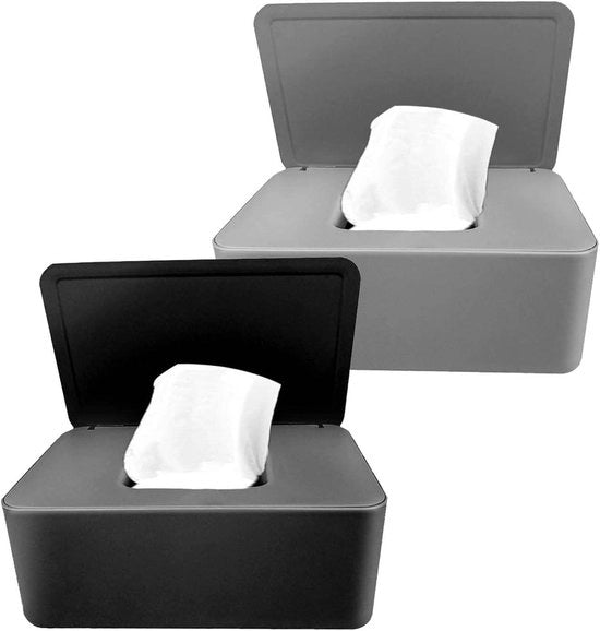 Dispensatore di Asciugamani in Plastica con Coperchio per 2 Asciugamani, Ideale per Casa o Ufficio