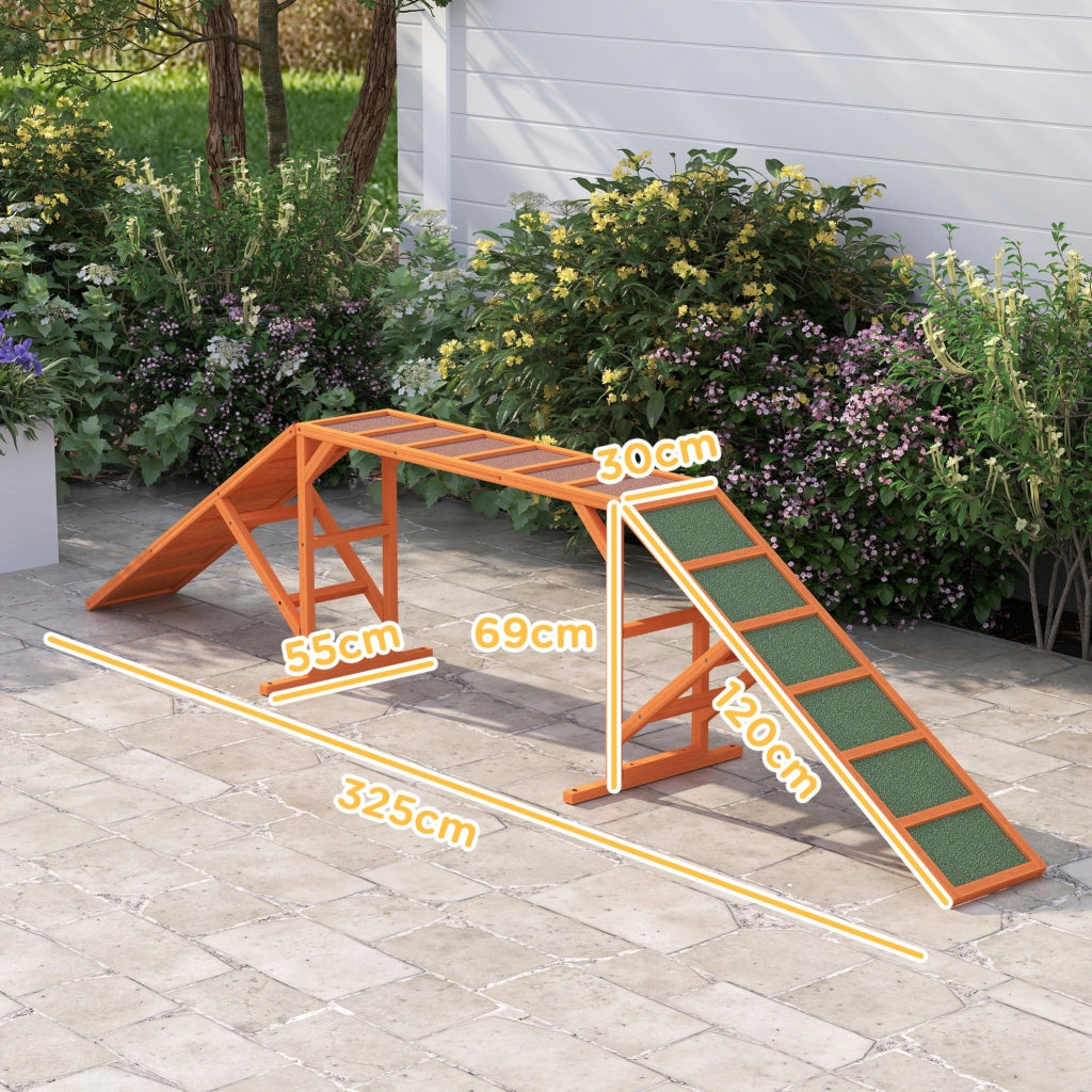 Rampa Agility per Cani con Superficie Antiscivolo