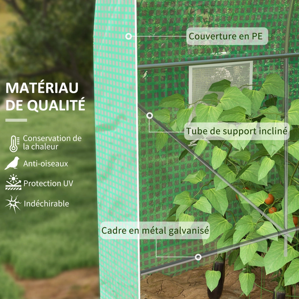 Serra da Giardino Tunnel ¨C zephmum ¨C Verde 4L x 2l x 2.05H m