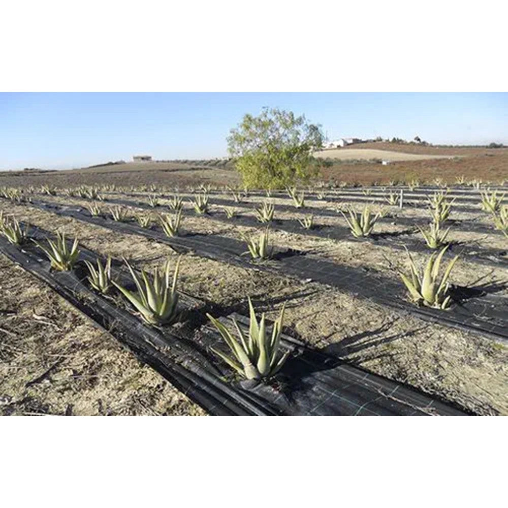 Trade Shop - Rete Anti Erba Telo Pacciamatura Per Orto Giardino Serra 1.5x10mt Resistente 023297 -