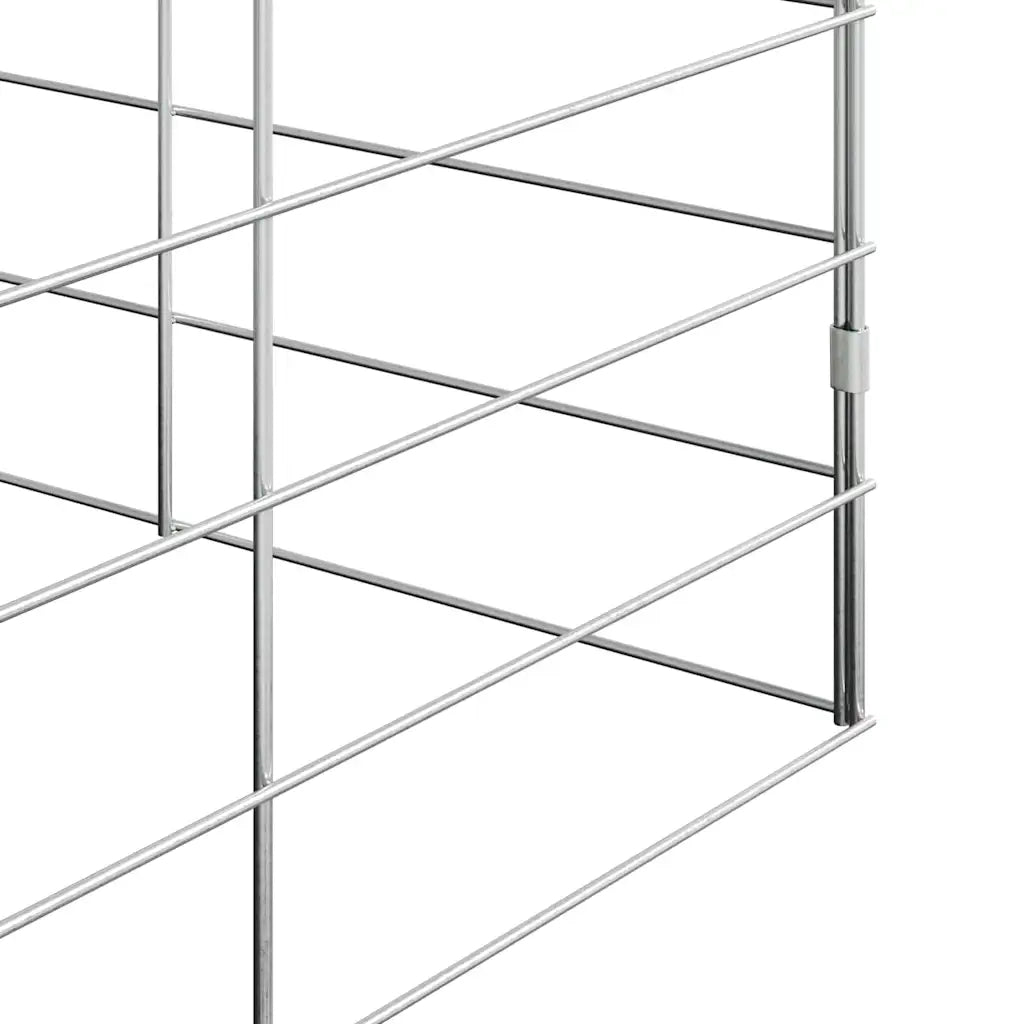 Gabbia per polli 2 pz Argento 600 x 100 x 210 cm CFW9753483