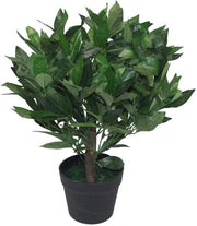 Laurierbosso artificiale, forma foglia, 50 cm, verde, plastica