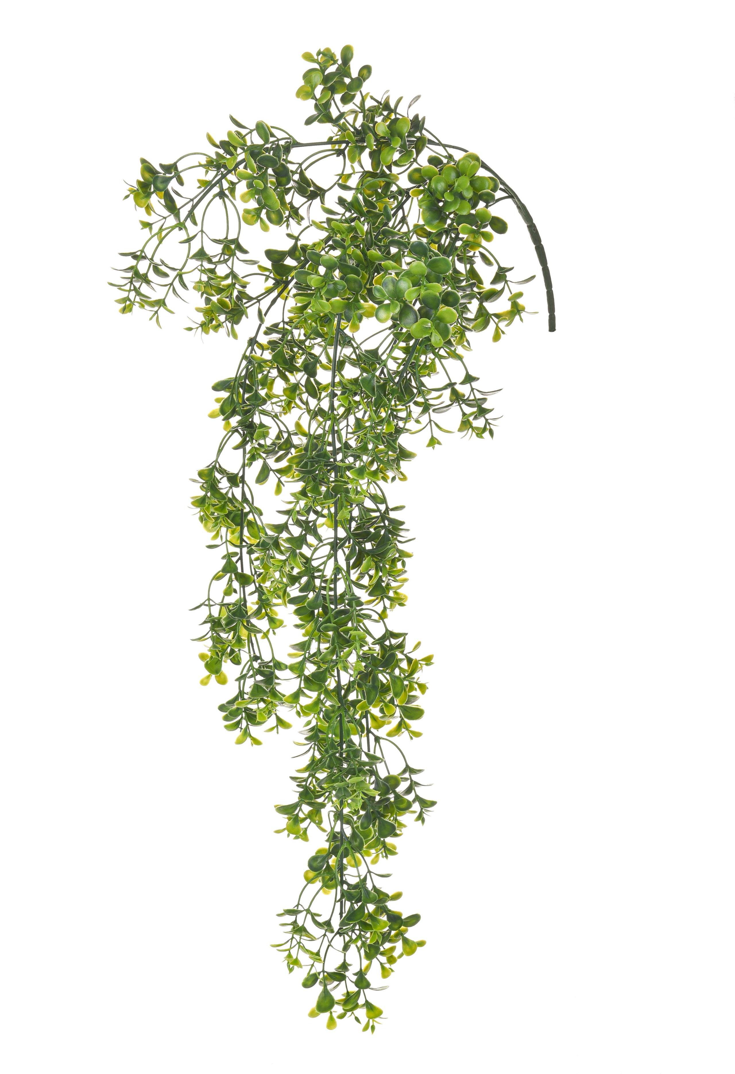 Set 3 Bossi/Buxus Artificiale Pendente Altezza 46 cm Verde