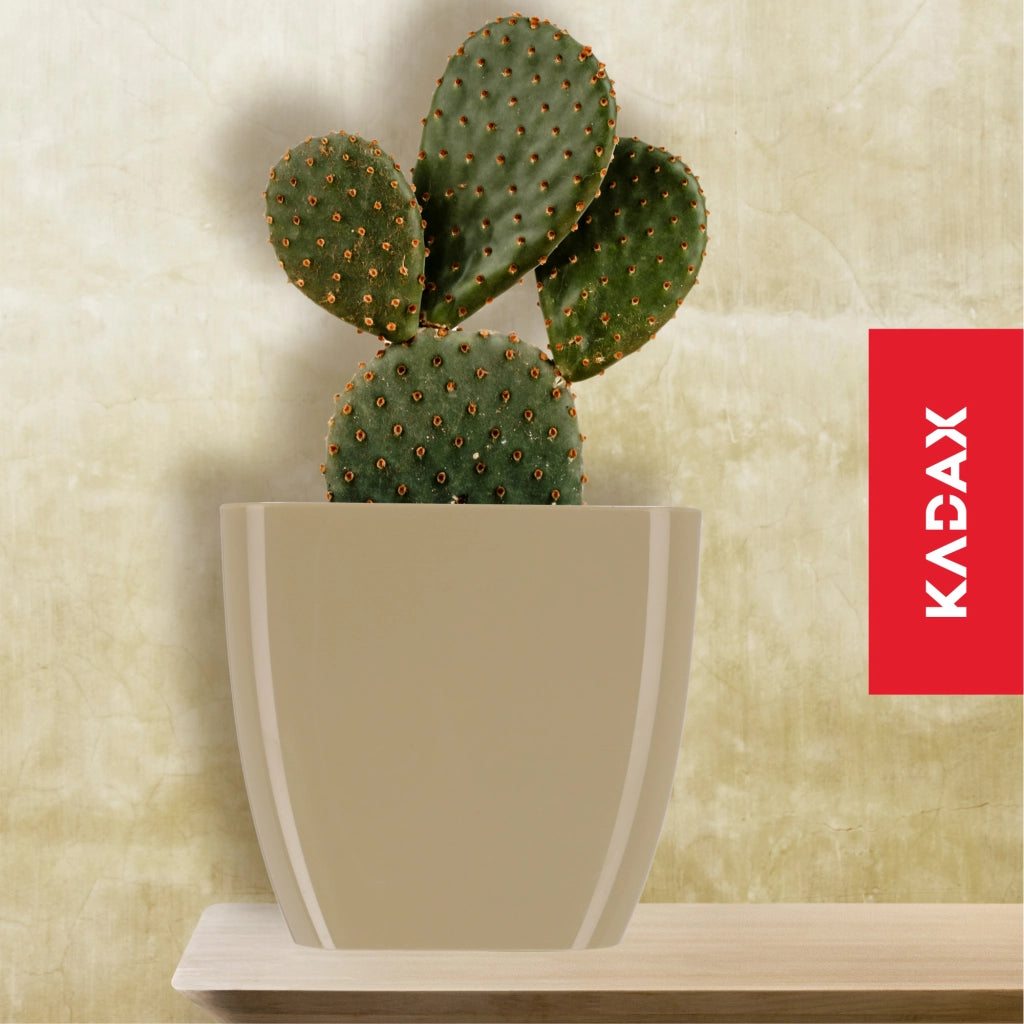 Vaso da fiori KADAX, Vaso da fiori, Quadrato, 16 cm, Plastica, Supporto per fiori, Beige