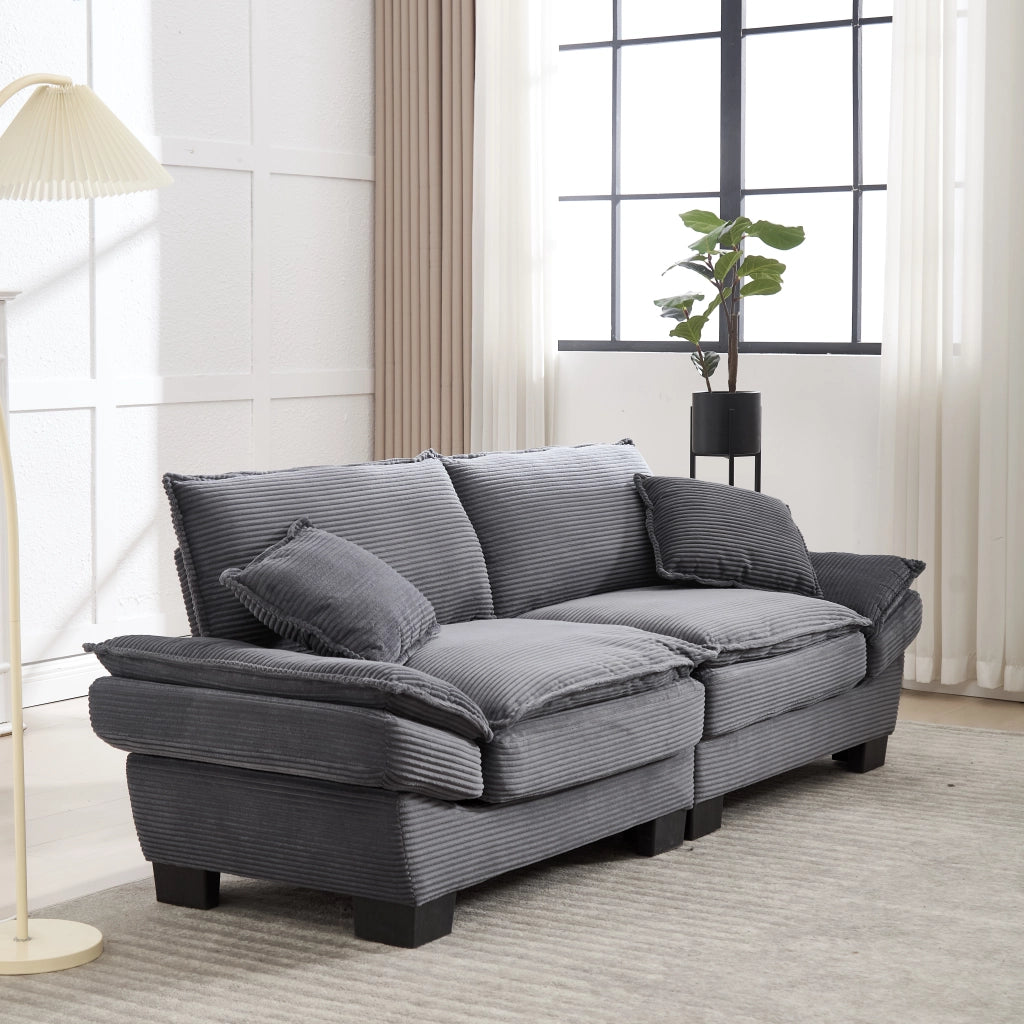 OKWISH Divano Lineare 2 Posti, Seduta Extra Profonda con Braccioli Imbottiti e 2 Cuscini, Velluto, Grigio Scuro