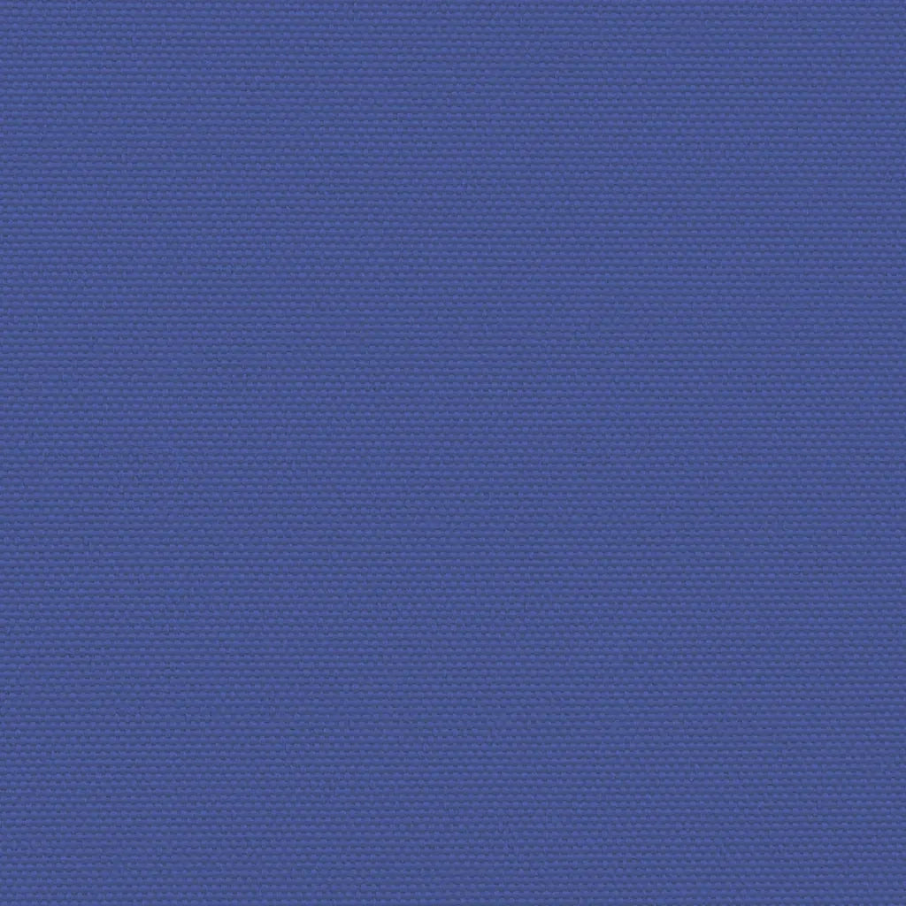 Tenda da Sole | Tenda parasole Laterale Retrattile Blu 220x1000 cm
