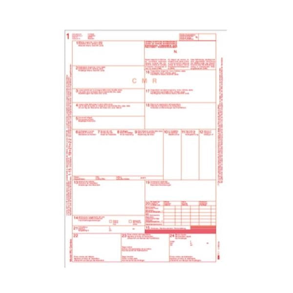Cf100 modello lettera di vettura in - E0052BIS