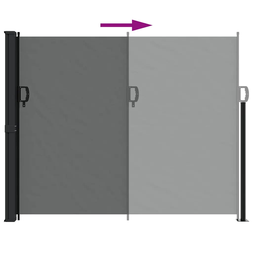 Tenda da sole laterale retrattile antracite 160x300 cm 4004323