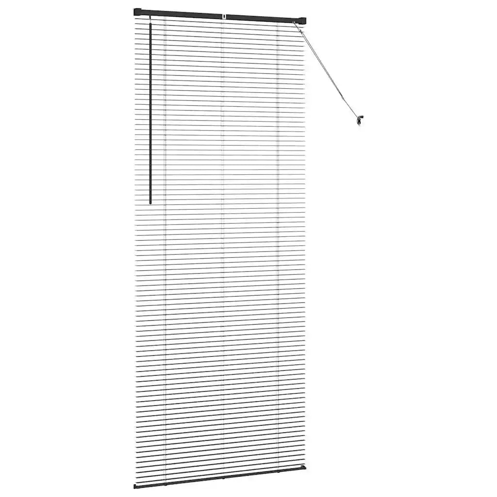 Tendaggi a Veneziana | Tenda a lamelle Nero 220 x 95 cm Alluminio