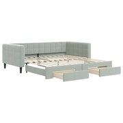 Divano letto | Sof¨¤ letto | Letto singolo Estraibile Cassetti Grigio Chiaro 100x200 Velluto