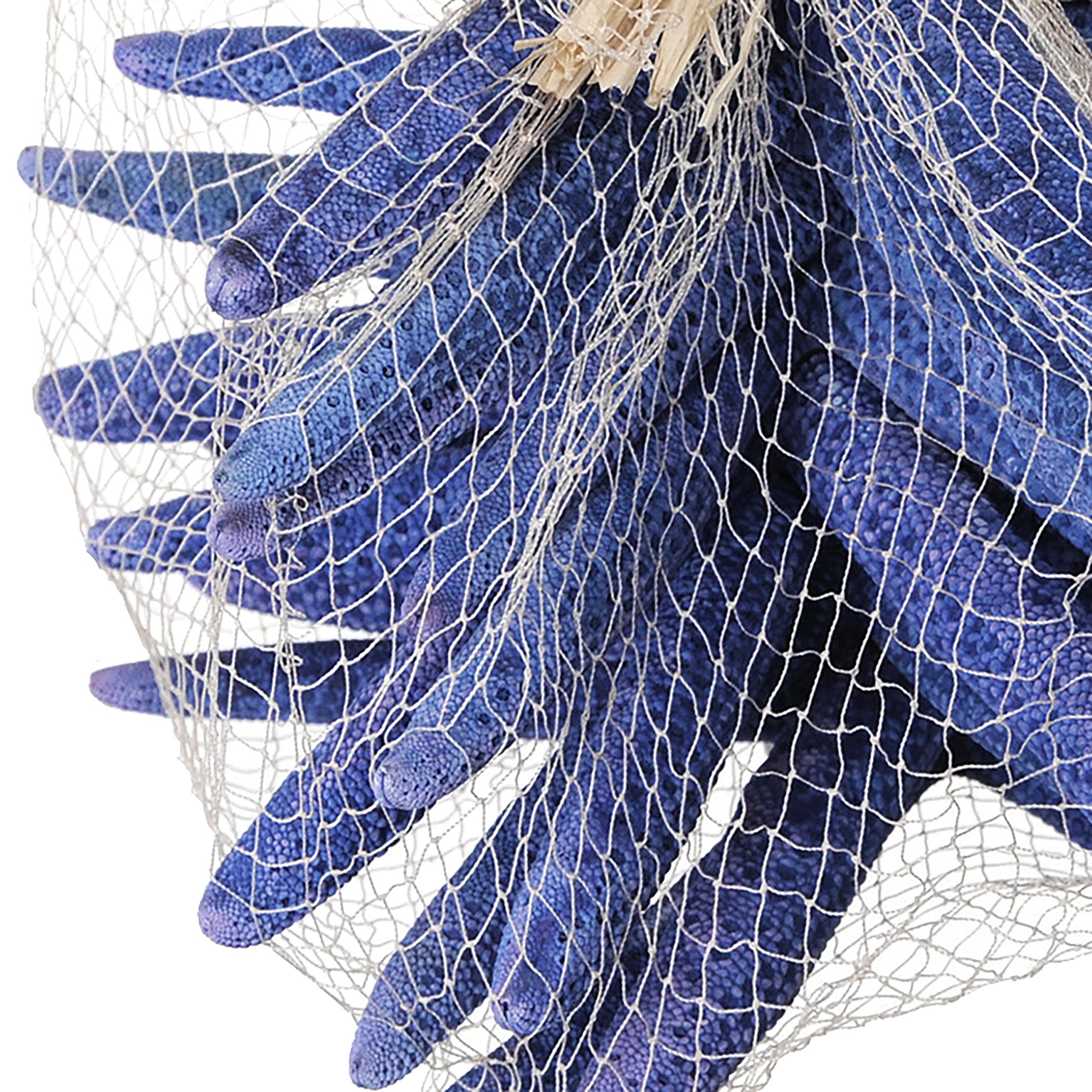 Stelle Marine Colorate 10 Pz 15x20 cm