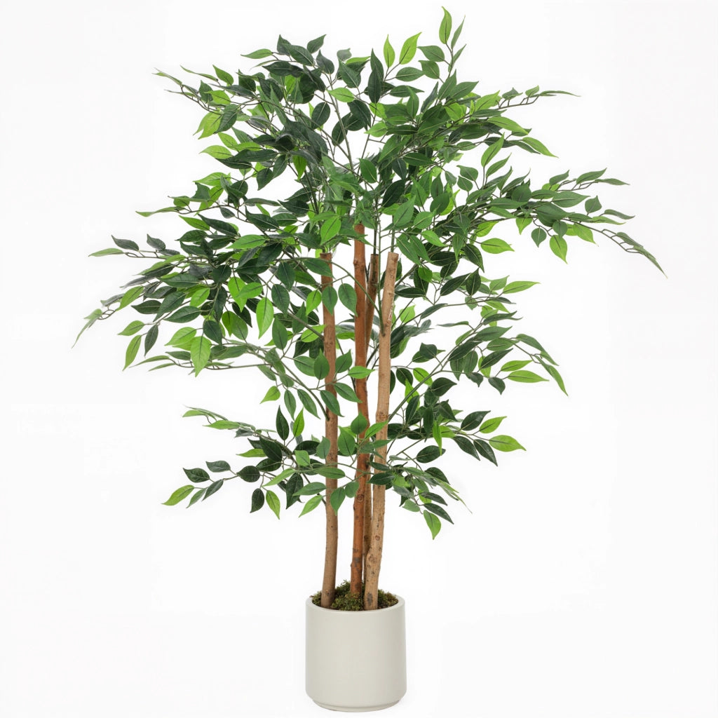 Pianta Artificiale di Baniano Verde in PEVA e Legno con Vaso Contenitore in PP e Cemento, 55x55x120 cm