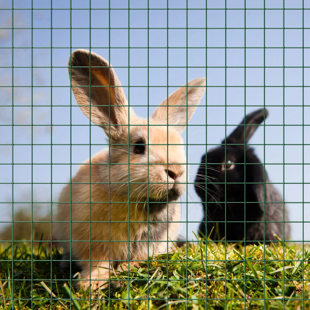 Rete per voliere metallica quadrata in acciaio zincato 19x19mm 100cmx25m verde