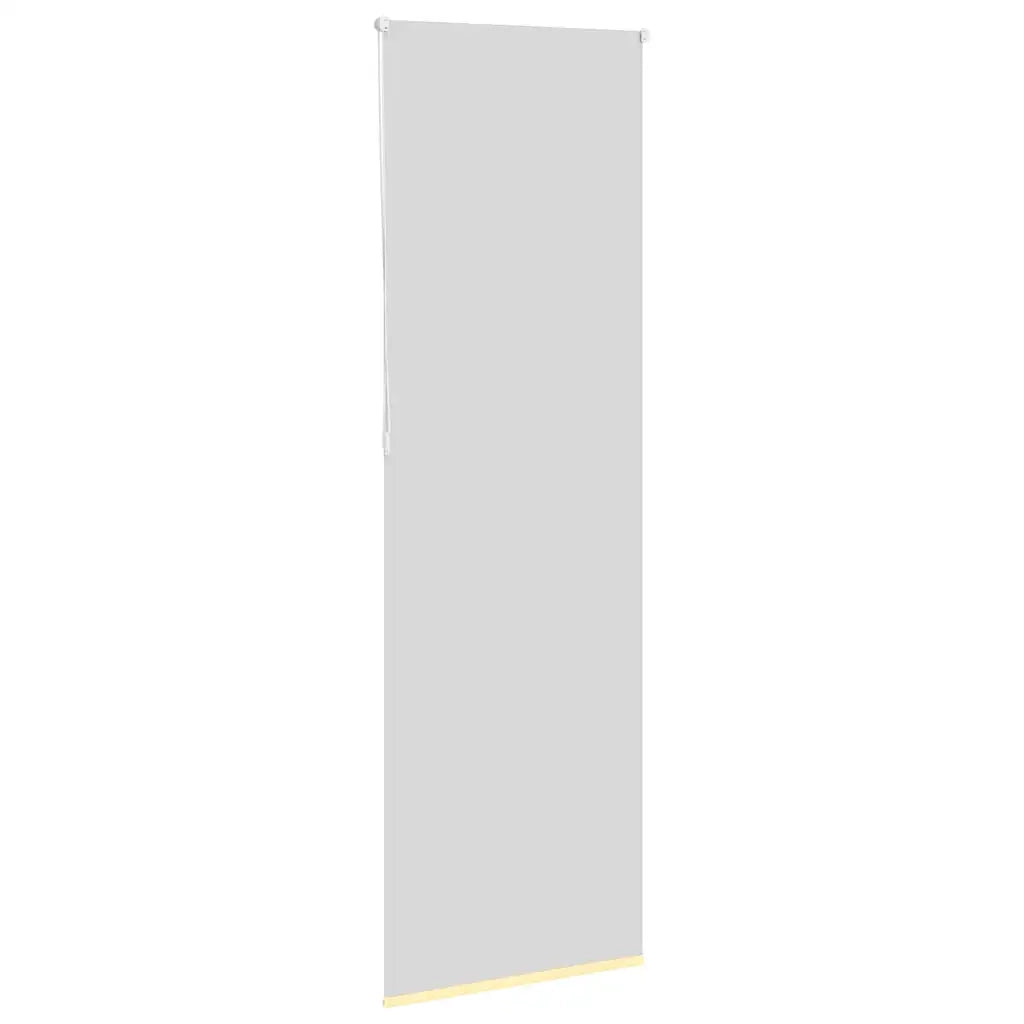 Tenda a Rullo Oscurante 65x210 cm Larghezza Tessuto 60,7 cm 4012083