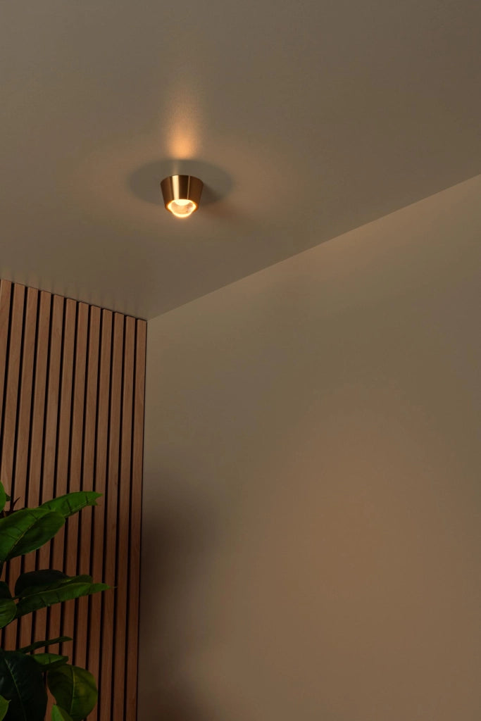 Spot da soffitto RIGON LED integrato oro Lucide