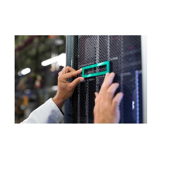 Hpe  ml30  gen11  ns204i-u  cbl  kit - P65098-B21