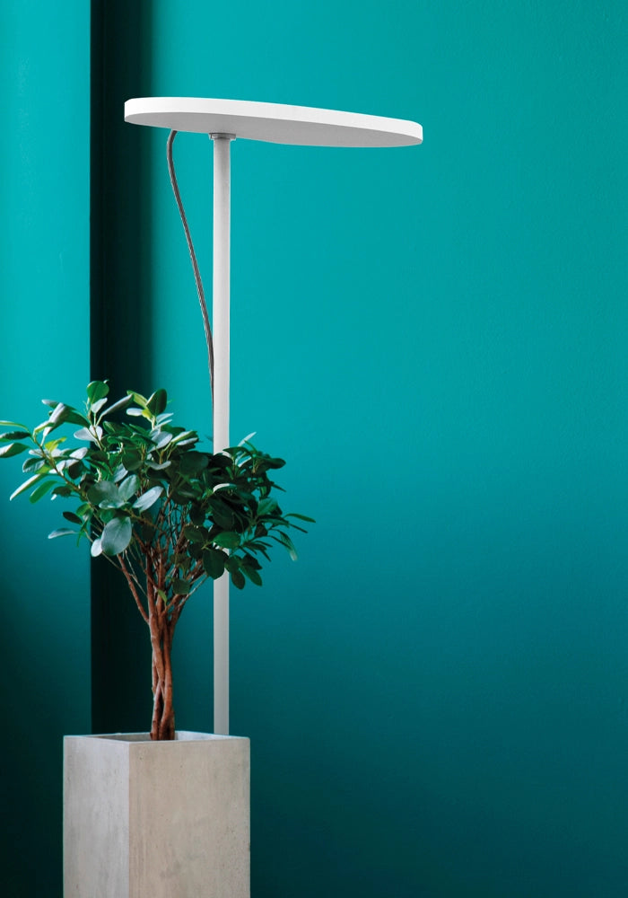 Applique LED BALA 27W Luce Indiretta 2700K Struttura in Alluminio Verniciato Bianco - Rossini Illuminazione - Design Moderno ed Elegante