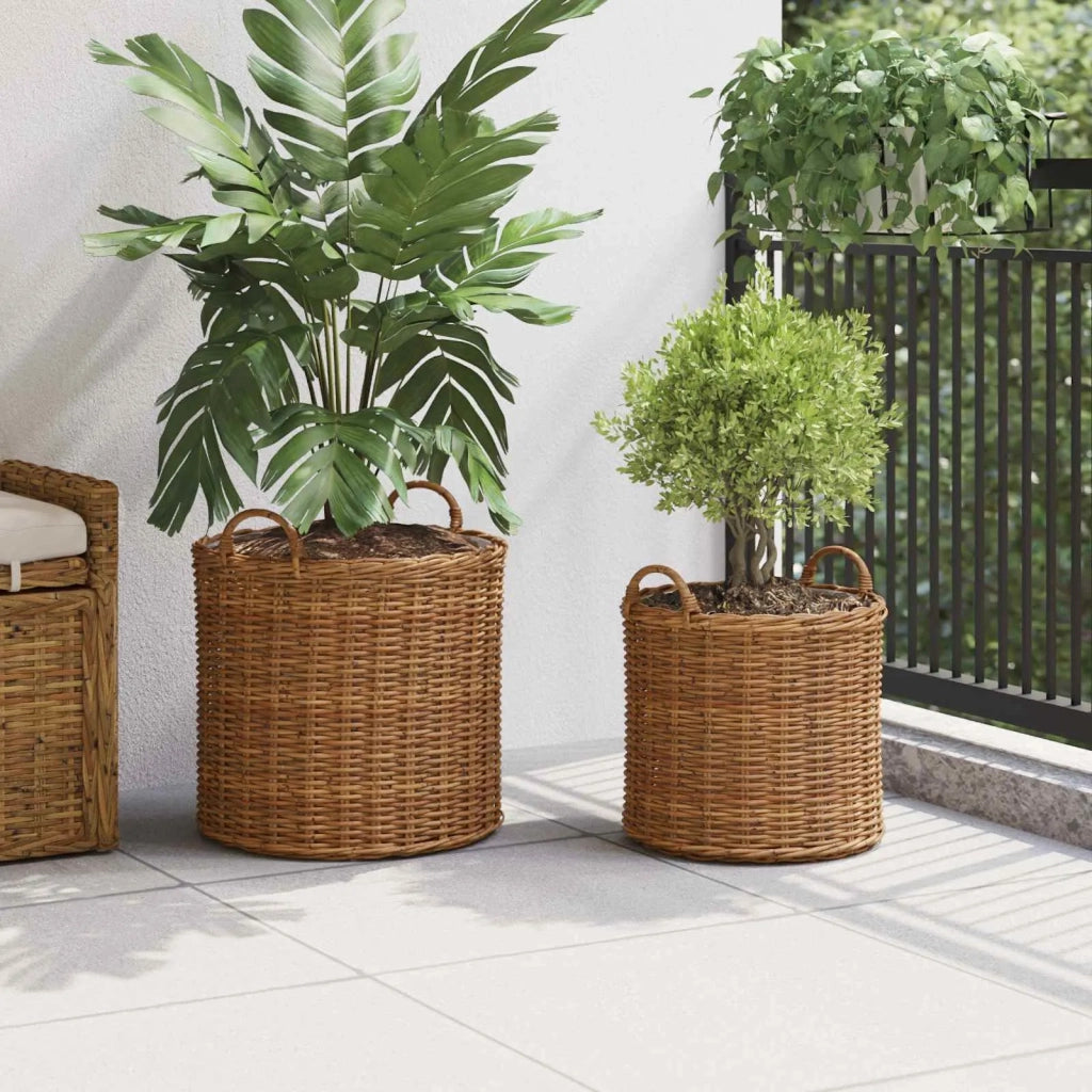 Cestino per piante con archiviazione 2 pcs Marrone Rattan Lacak