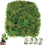 500g Mos Kunstmatig Decorativo, Simulazione di Corallo per Decorazione e Fiori Falso