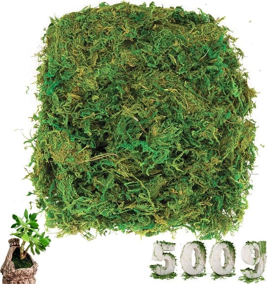 500g Mos Kunstmatig Decorativo, Simulazione di Corallo per Decorazione e Fiori Falso