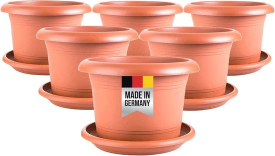 Set di 6 Piantine in Terracotta con Sostegno - Diametro 30 cm, Resistente al Gelido e Ideale per Interni e Esterni