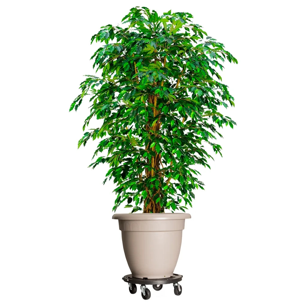 Carrelli per Piante con Ruote 2 pz Diametro 40 cm Neri 275 kg 3143918