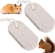 Set di cura dei denti per animali da compagnia - set di 2